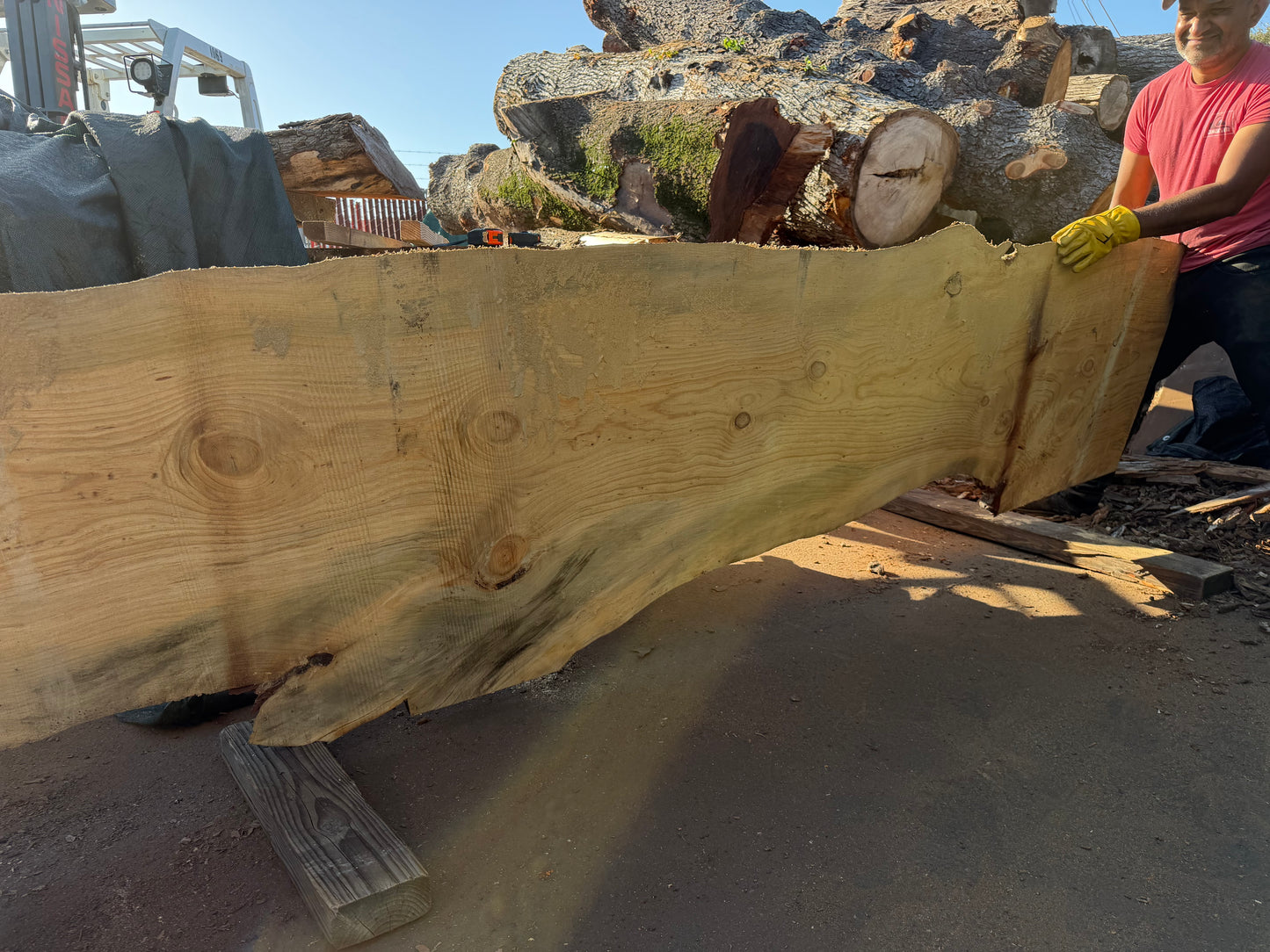 Blue Stain Pine Slab
