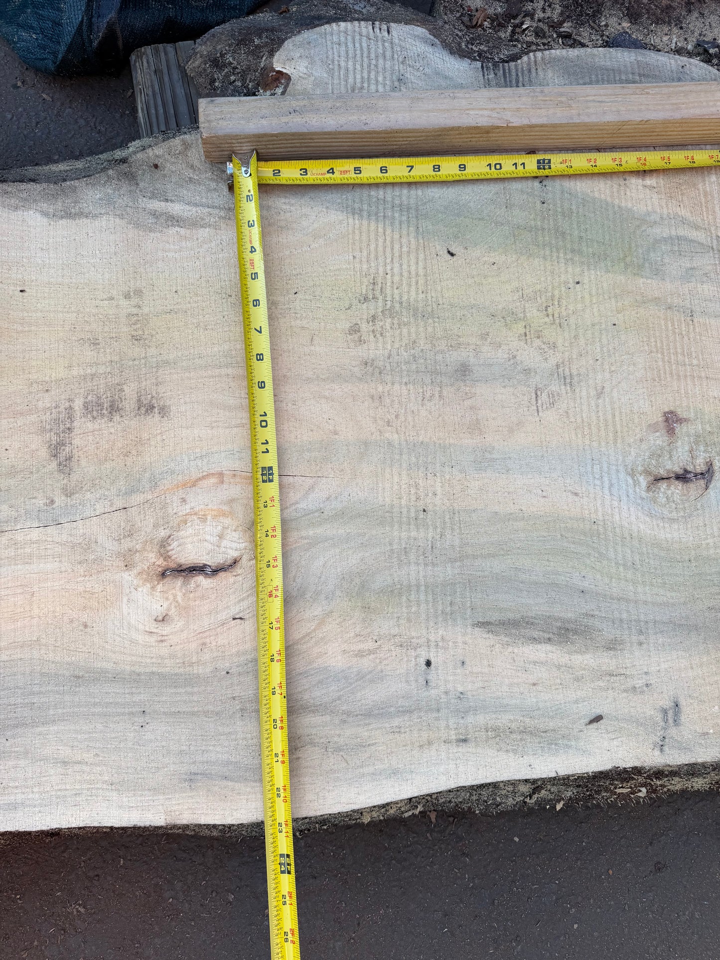Blue Stain Pine Slab