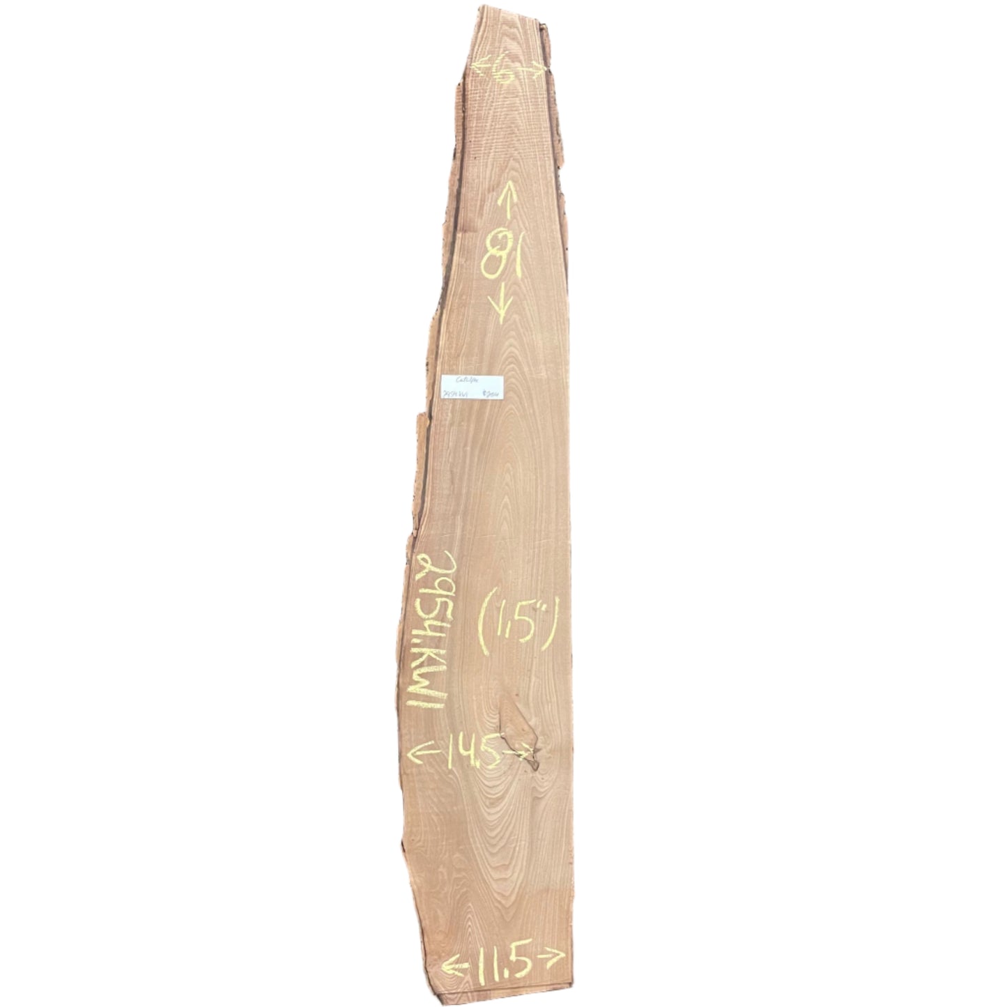 Catalpa Live Edge Slab 2954.KWI