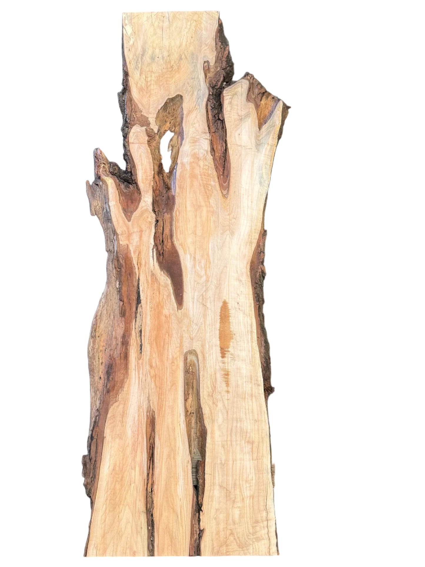 Black Willow Live Edge Slab S2S 5095.KLD