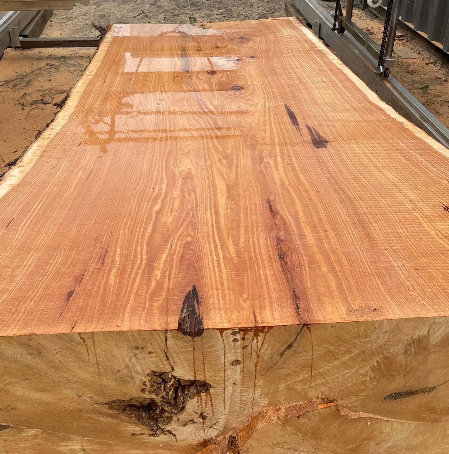 Monterey Cypress Live Edge Slab 3314.KPR