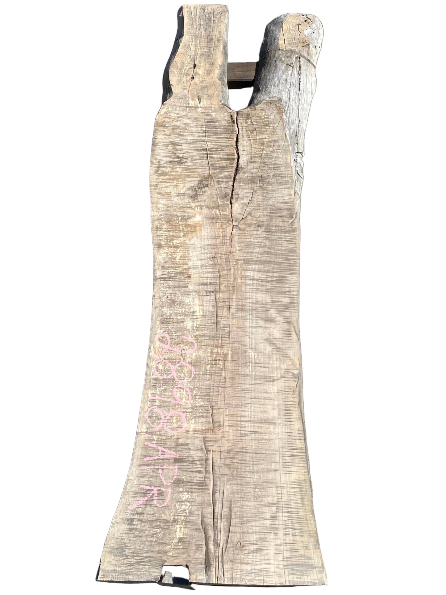 Elm Live Edge Slab 2898.APR