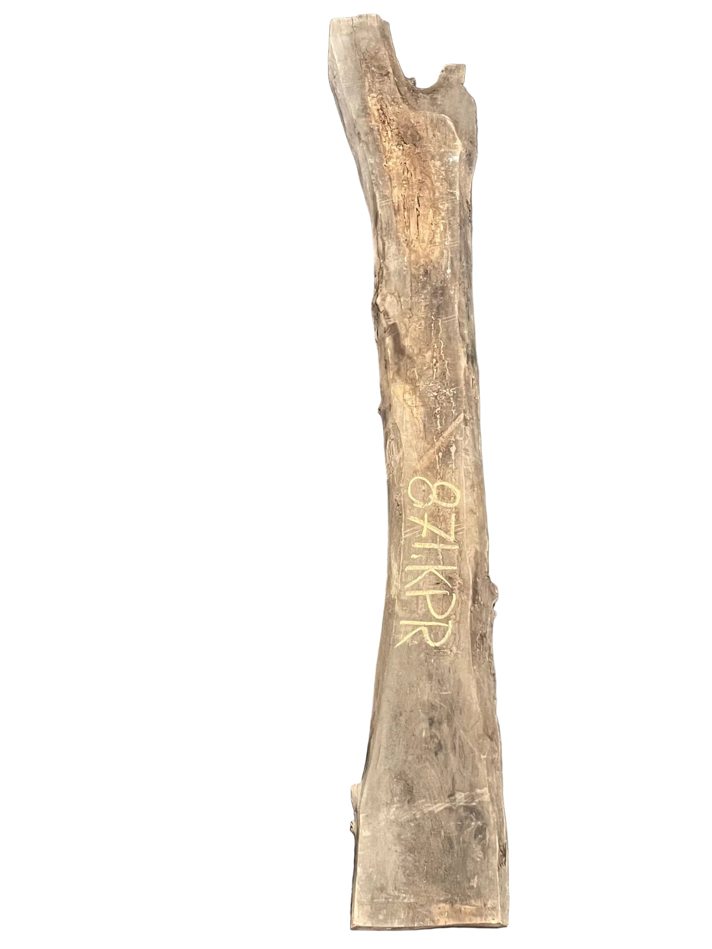 Elm Live Edge Slab 871.KPR