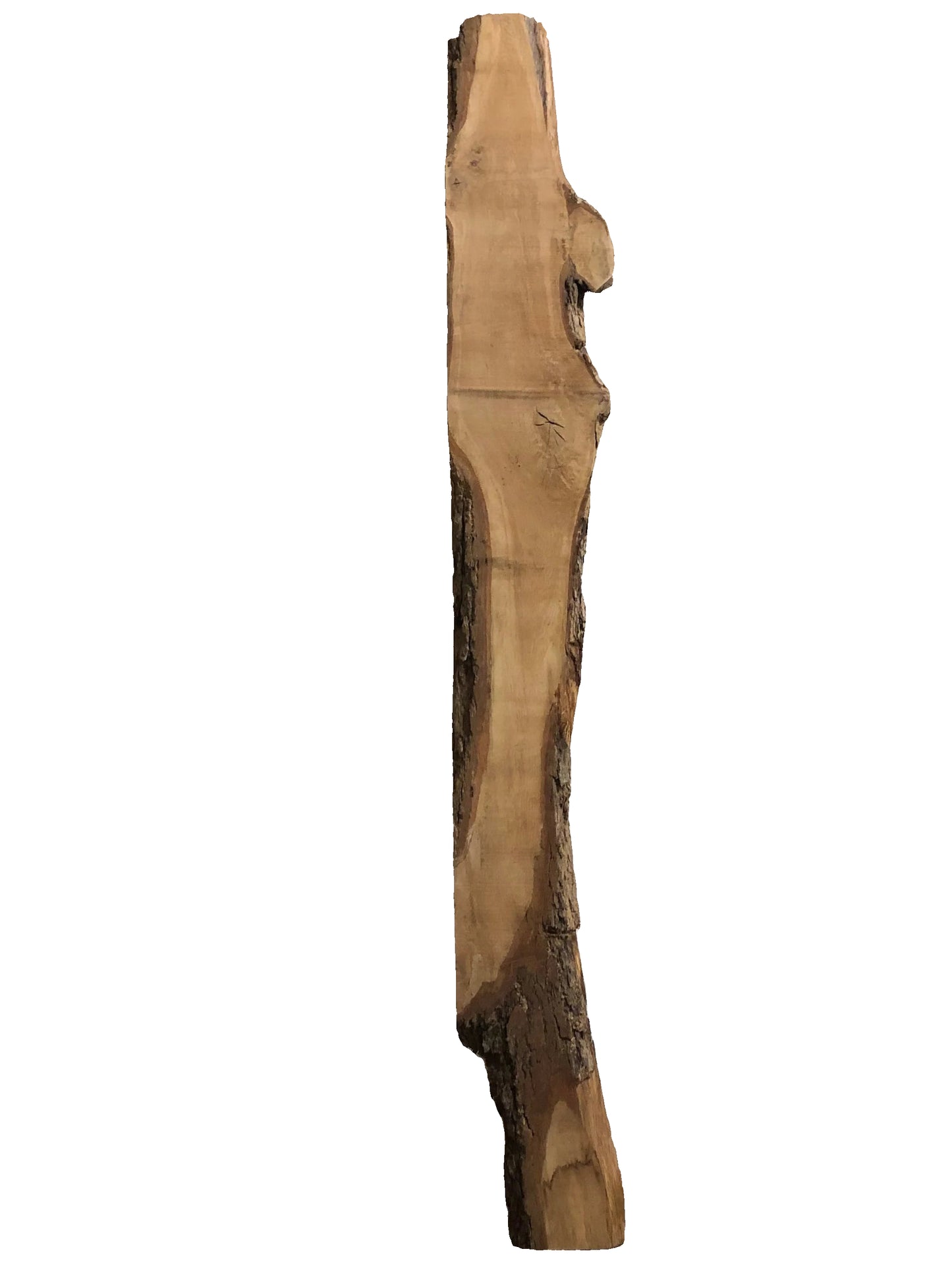 White Oak Live Edge Slab 195.KWI