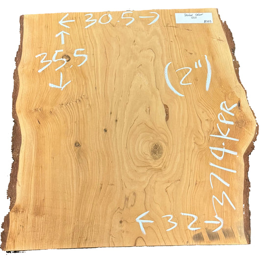 Deodar Cedar Live Edge Slab S2S 3719.KPR