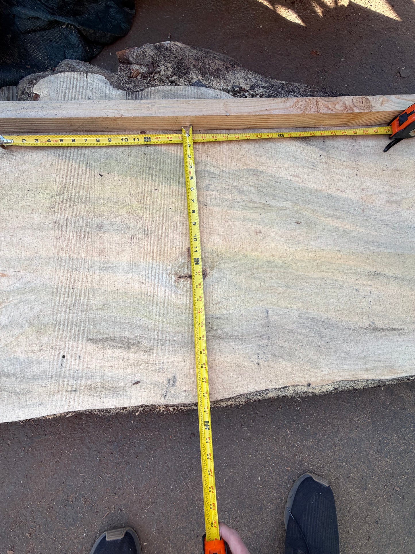 Blue Stain Pine Slab