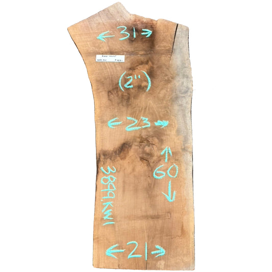Black Walnut Live Edge Slab 3899.KWI