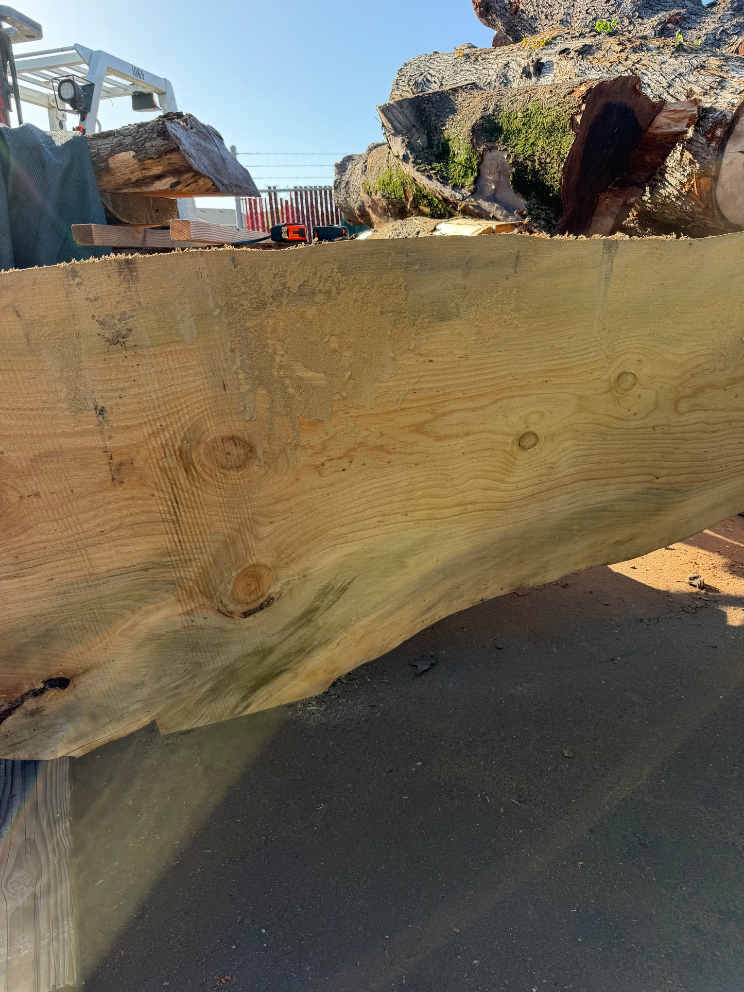 Blue Stain Pine Slab