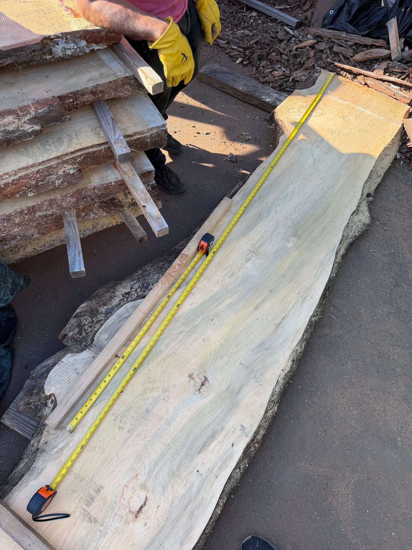 Blue Stain Pine Slab