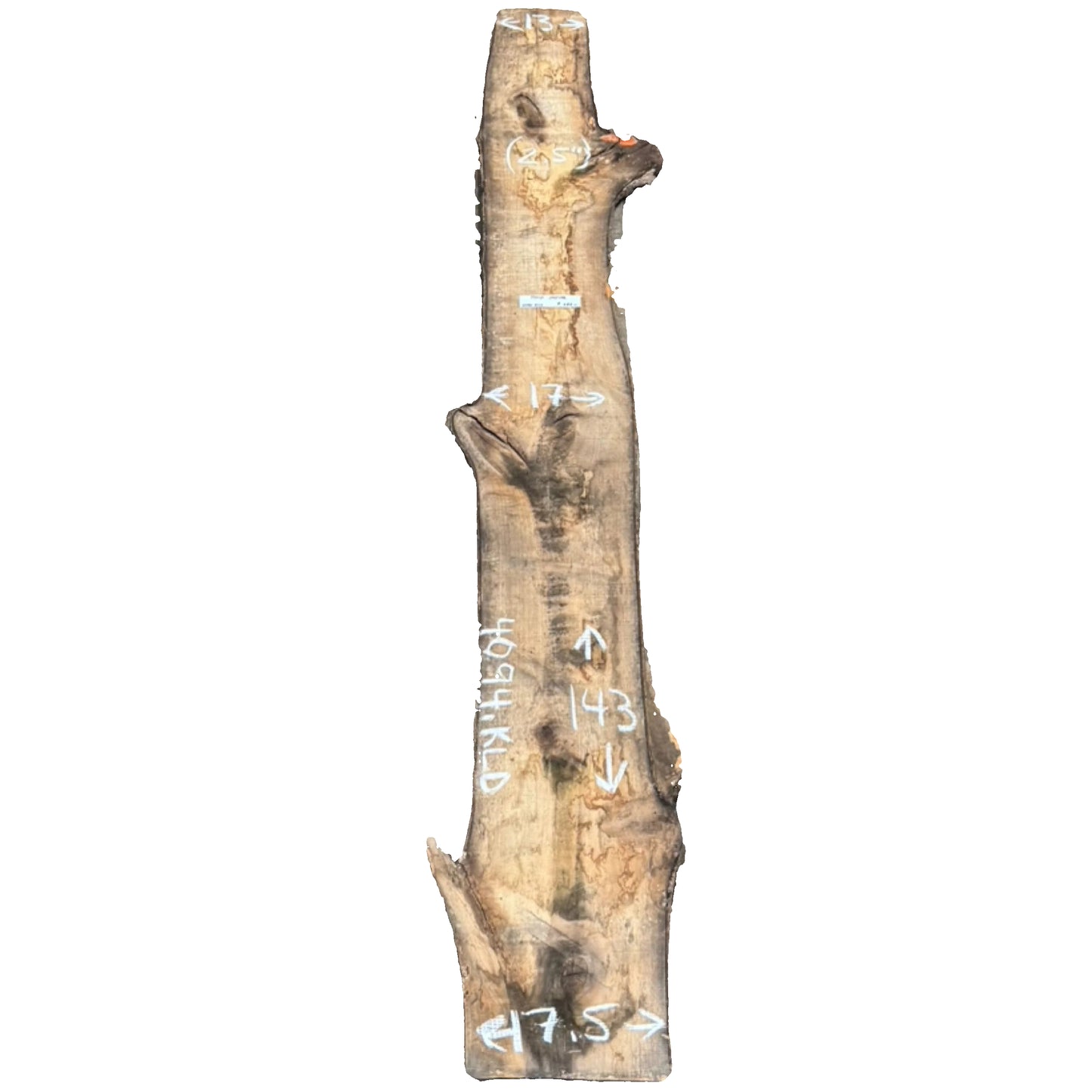 Tulip Poplar Live Edge Slab 4094.KLD