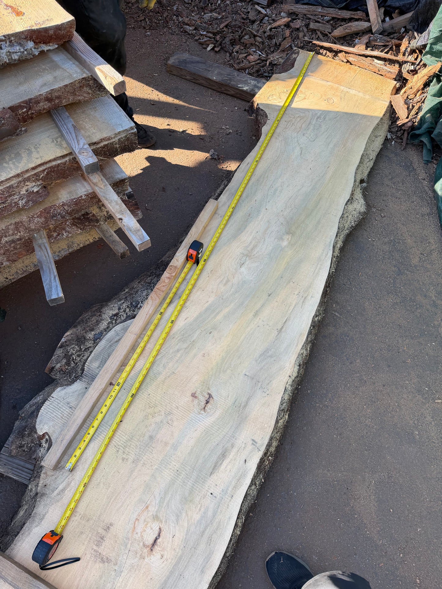 Blue Stain Pine Slab