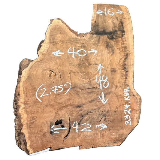 Claro Walnut w/ English Walnut Graft Live Edge Slab 3324.KBR