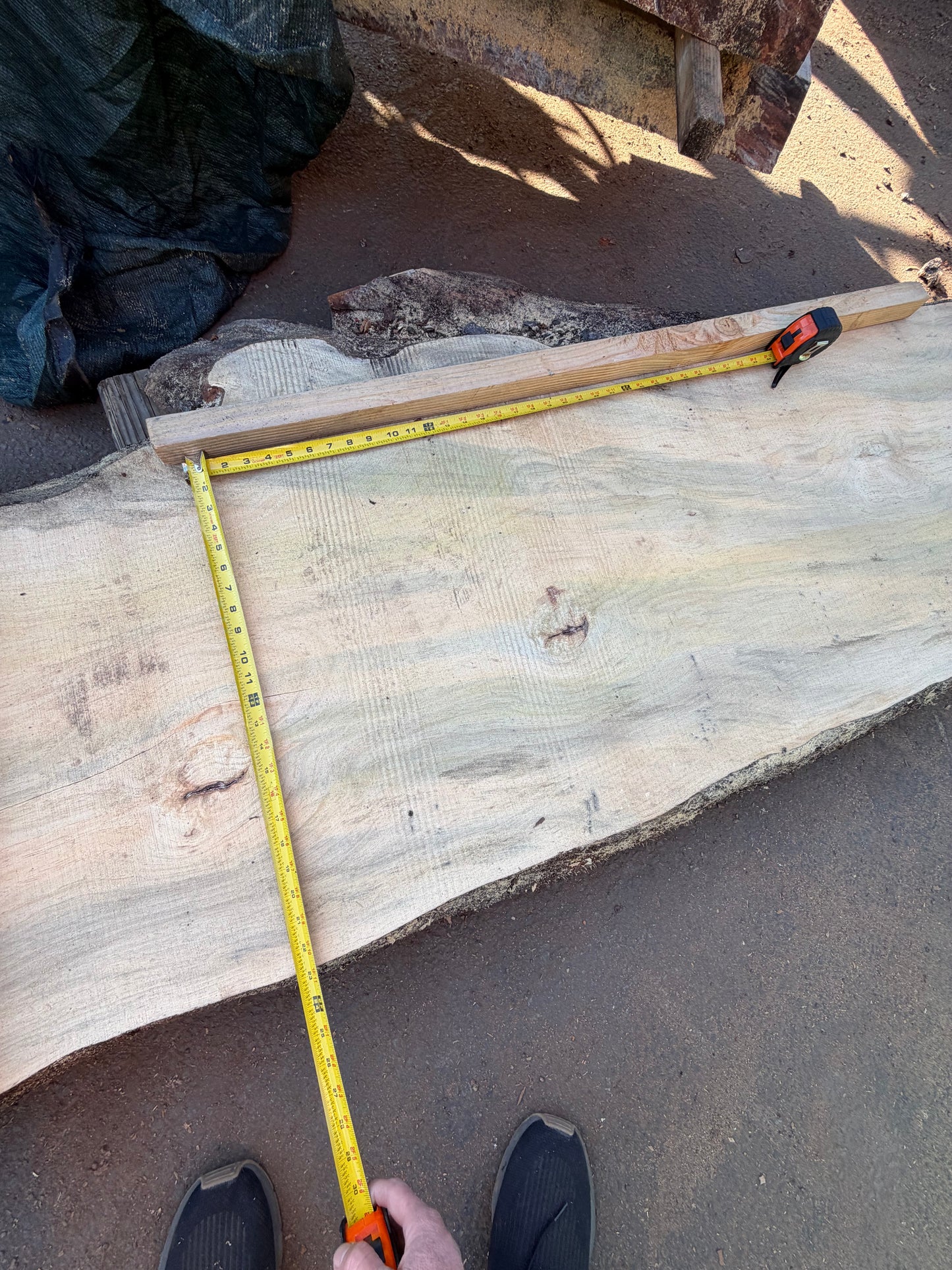 Blue Stain Pine Slab