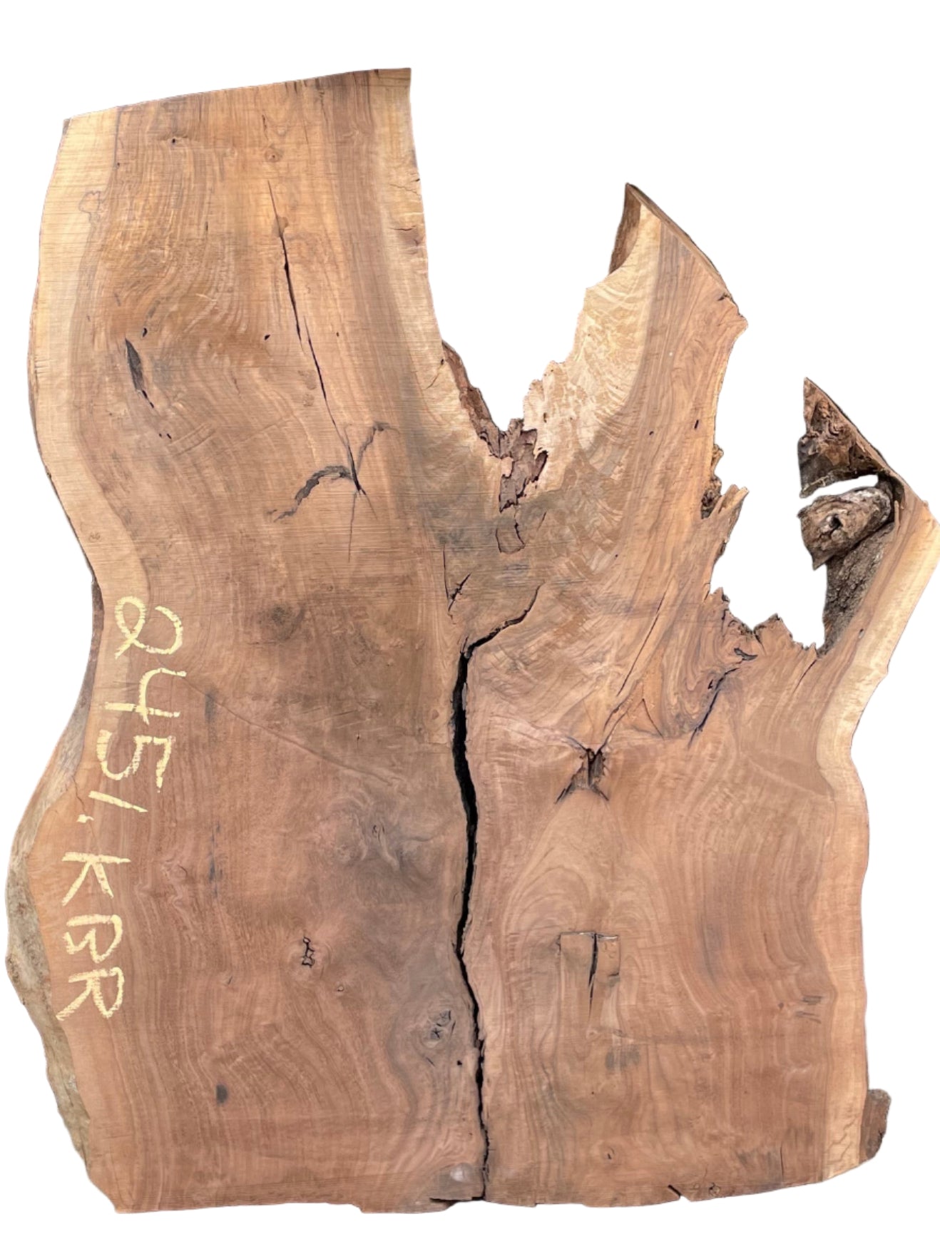 Claro Walnut w/ English Walnut Graft Live Edge Slab 2451.KBR