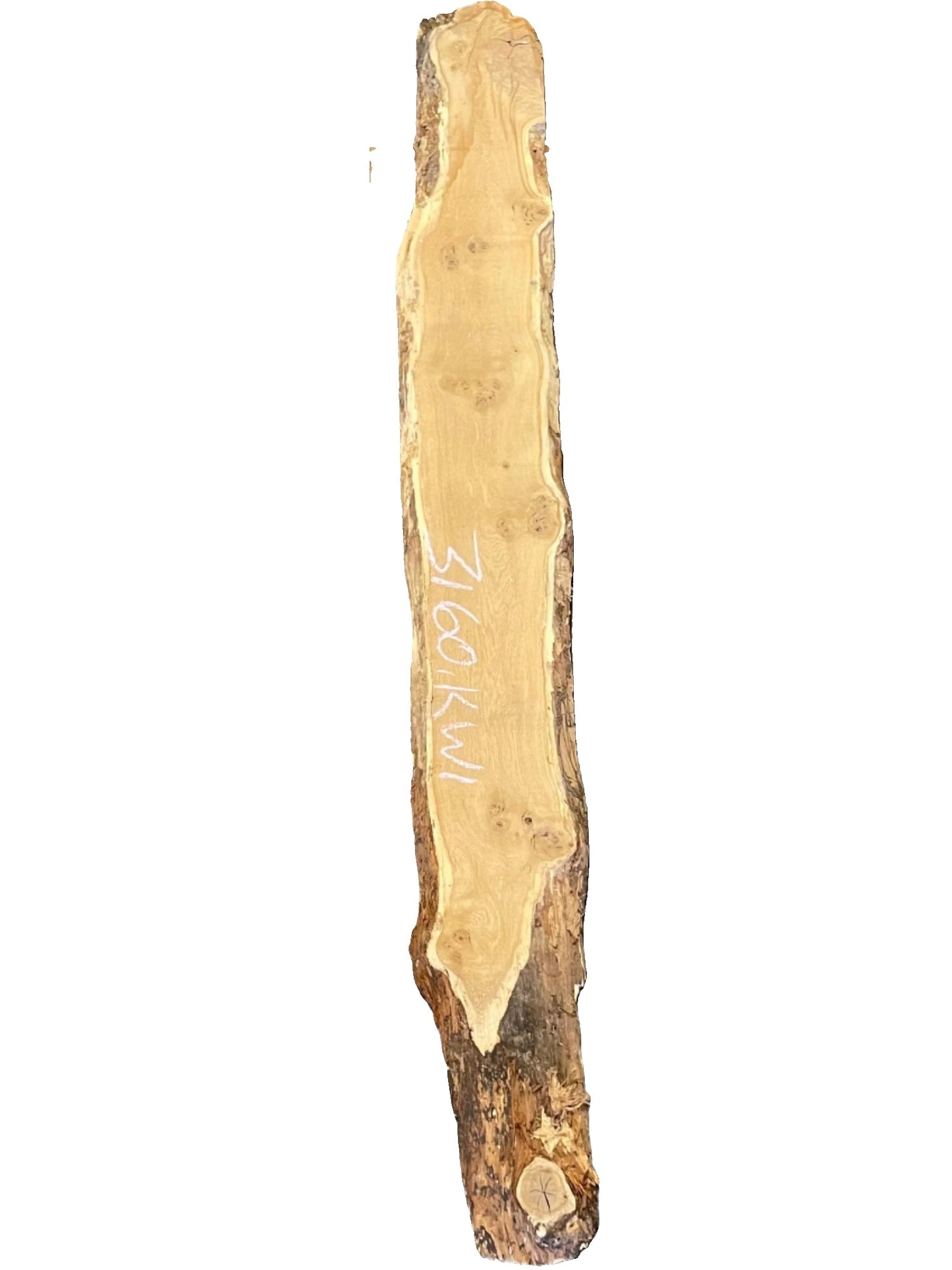 White Oak Live Edge Slab 3160.KWI
