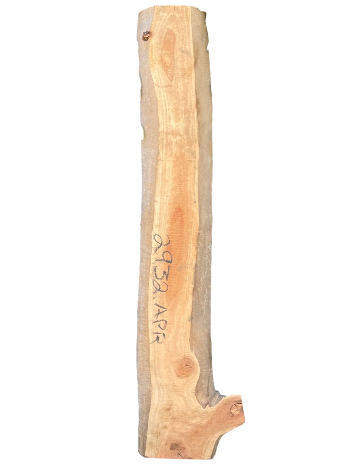 Carob Live Edge Slab 2932.KPR