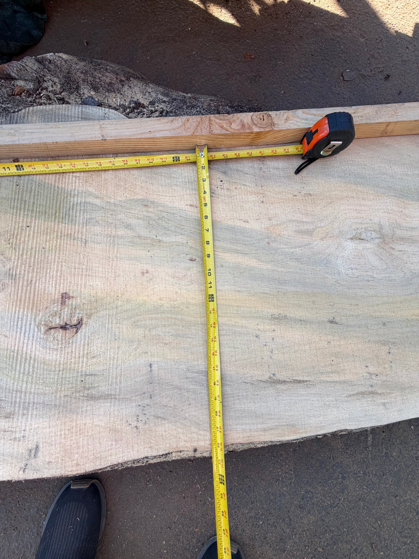 Blue Stain Pine Slab