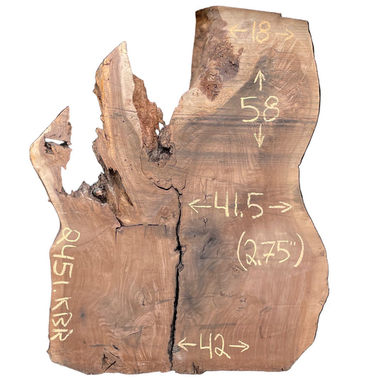 Claro Walnut w/ English Walnut Graft Live Edge Slab 2451.KBR