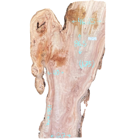 Cottonwood Live Edge Slab S2S 1361.KPR