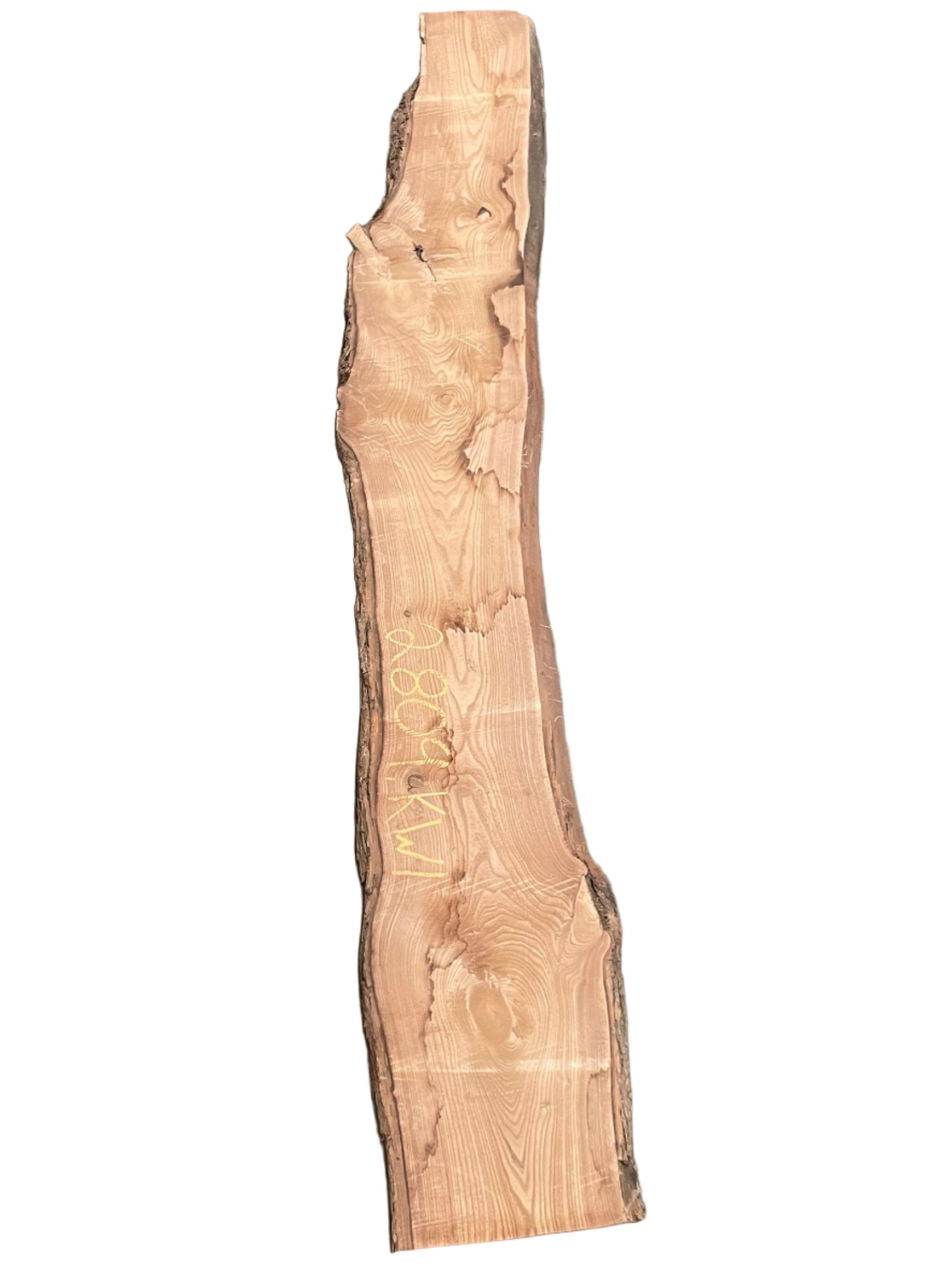 Catalpa Live Edge Slab 2809.KWI