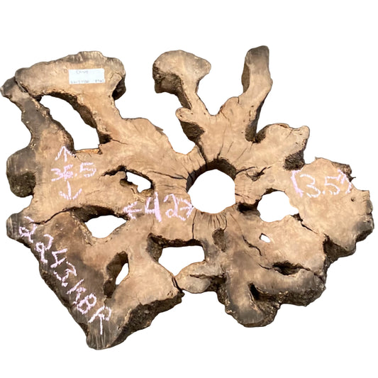 Olive Cookie 2243.KBR