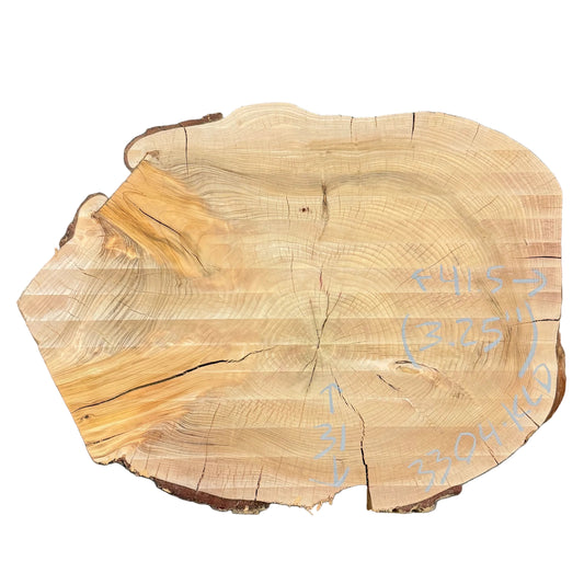 Deodar Cedar Cookie S2S 3304.KLD
