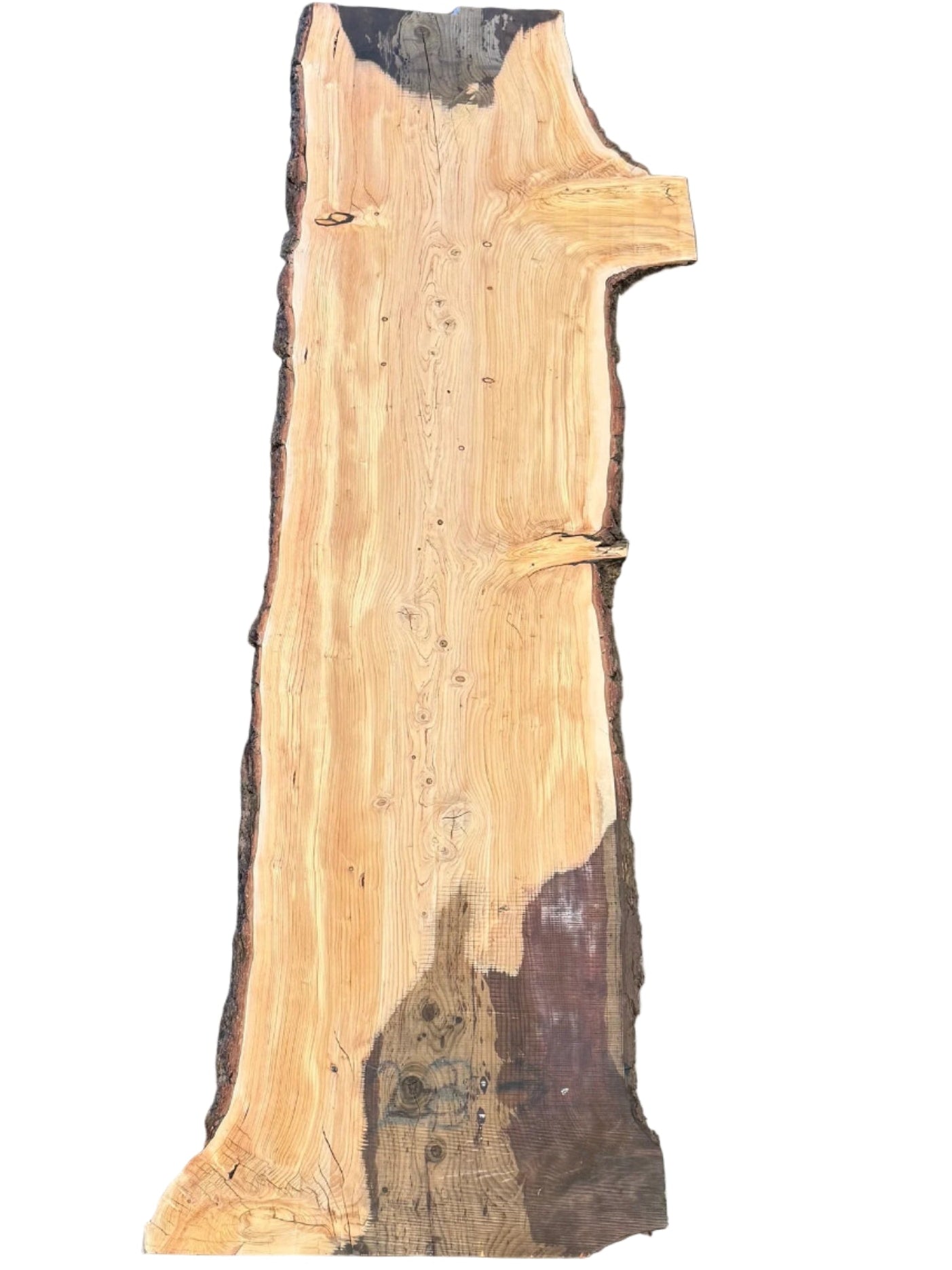 Deodar Cedar Live Edge Slab S2S 5094.ALD