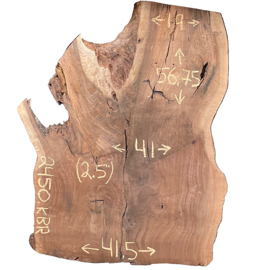 Claro Walnut w/ English Walnut Graft Live Edge Slab 2450.KBR