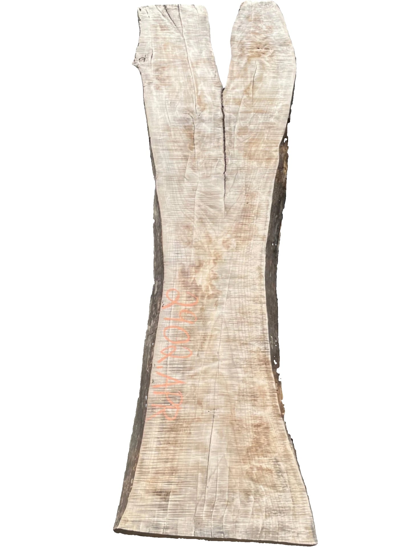 Elm Live Edge Slab 2902.APR