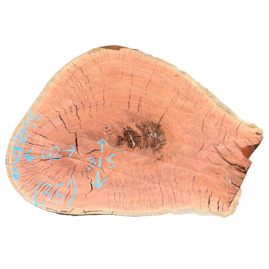 Eucalyptus Cookie S2S 3568.KWW