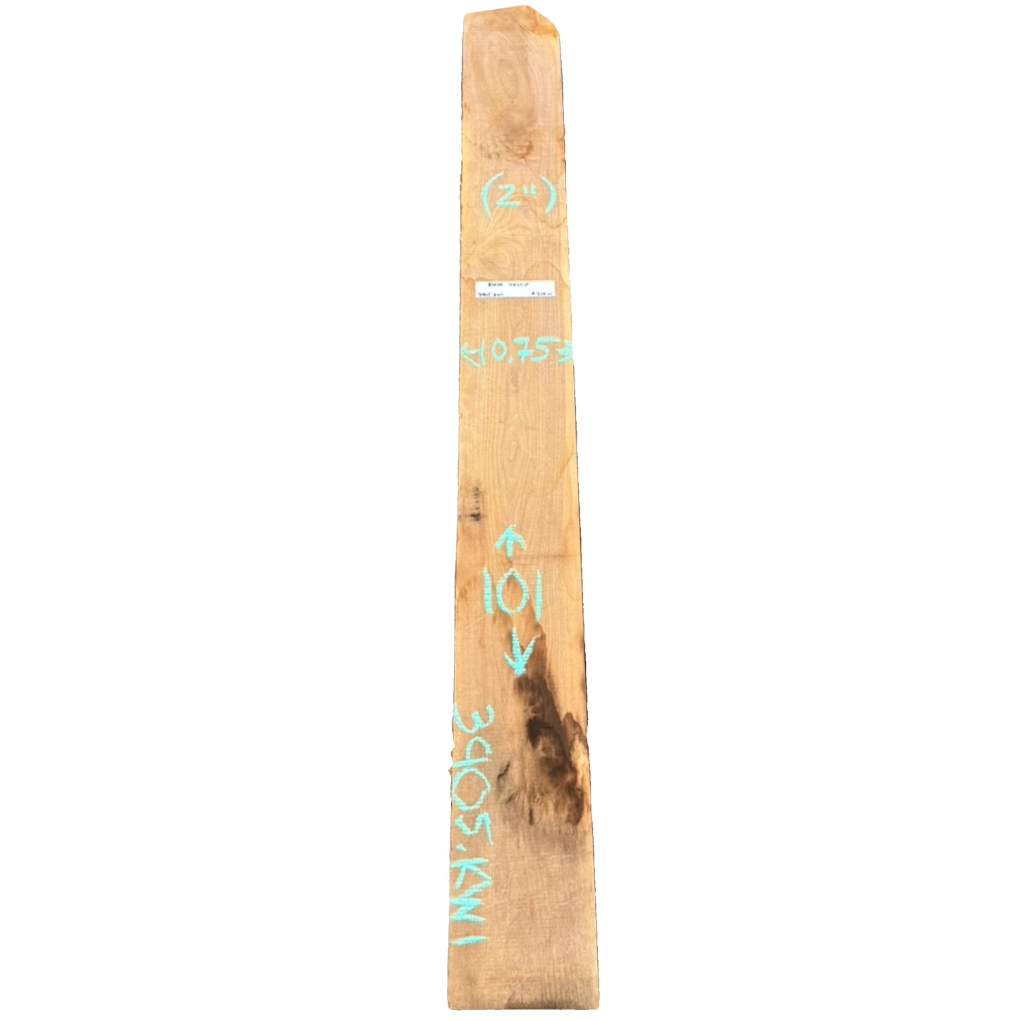 Black Walnut Rough Sawn Lumber 3905.KWI