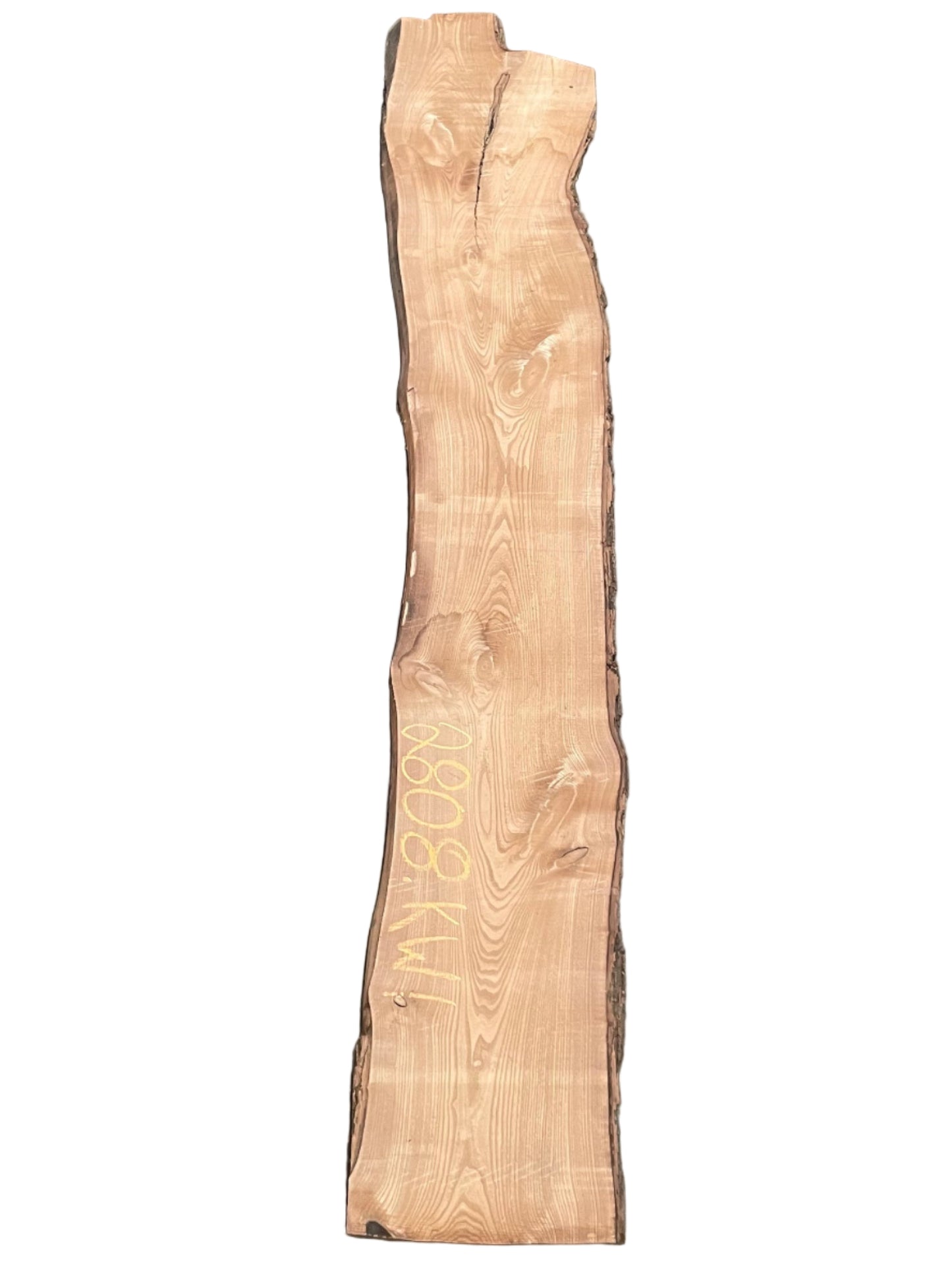 Catalpa Live Edge Slab 2808.KWI