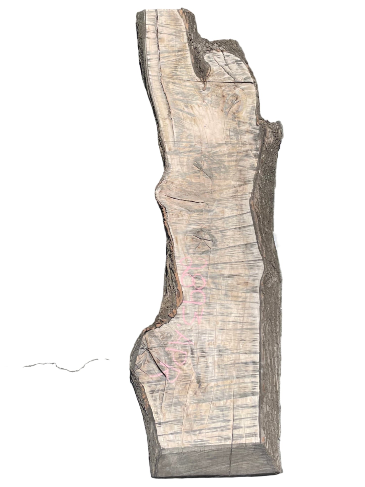 Big Leaf Maple Live Edge Slab 2893.KPR