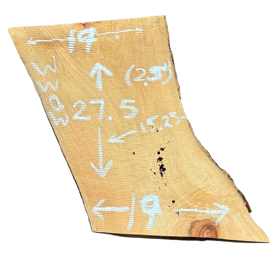 Camphor Live Edge Slab 3303.KBR