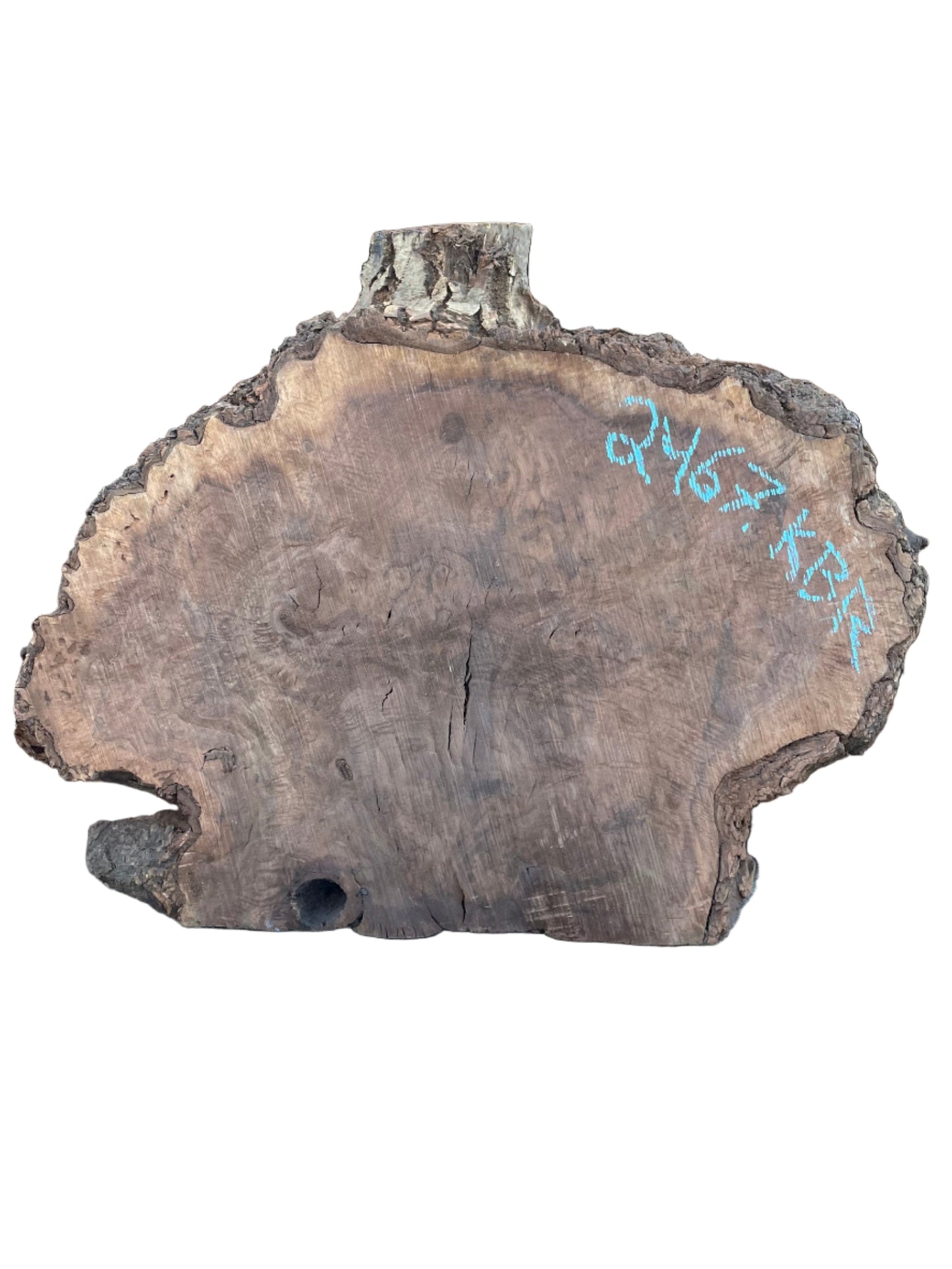 Claro Walnut Burl Cookie Live Edge Slab 2467.KBR