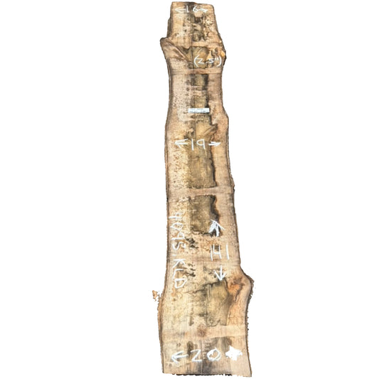 Tulip Poplar Live Edge Slab 4095.KLD