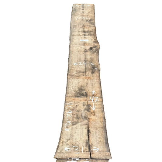 Tulip Poplar Live Edge Slab 4092.KLD