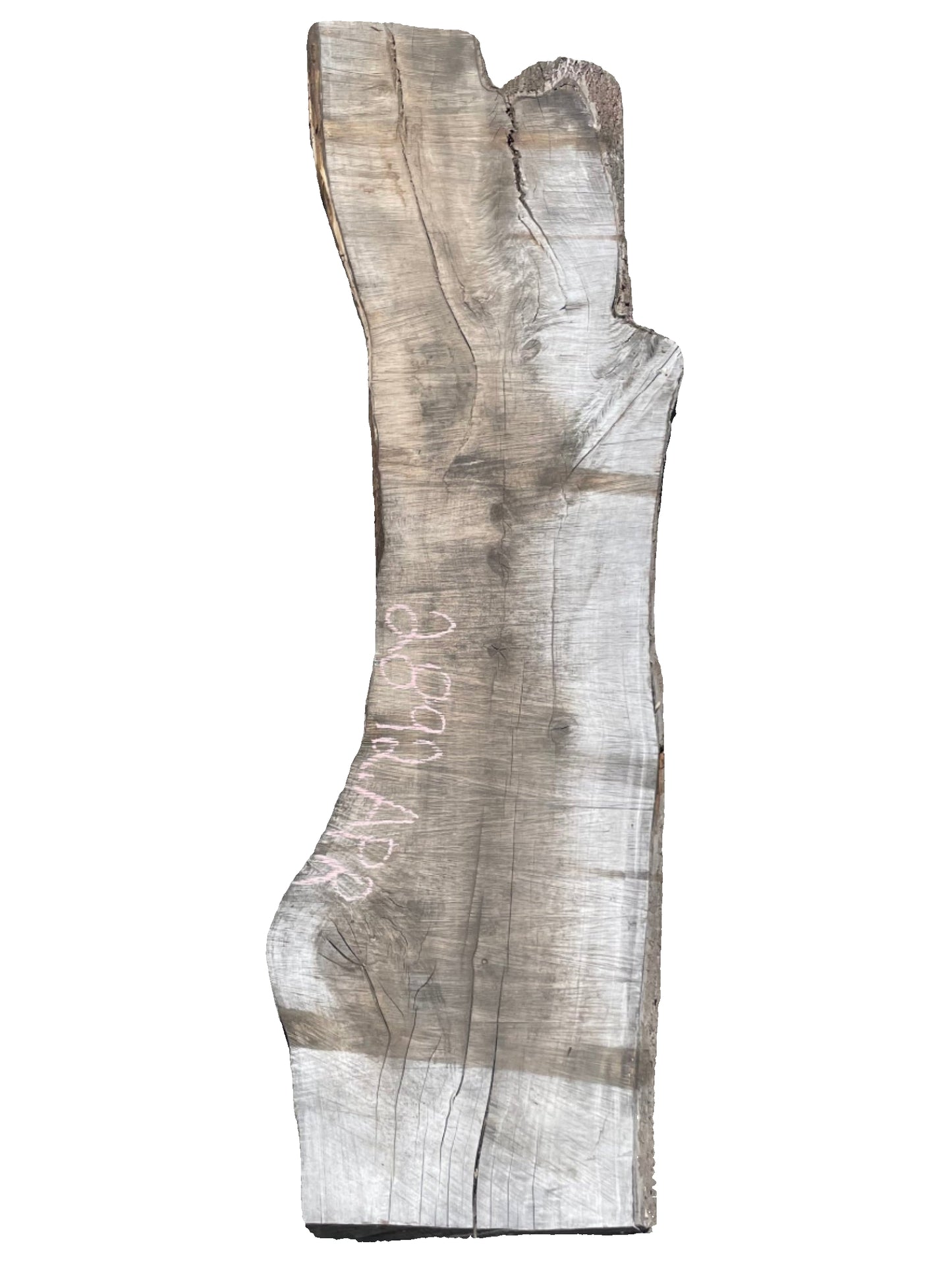 Big Leaf Maple Live Edge Slab 2892.KPR