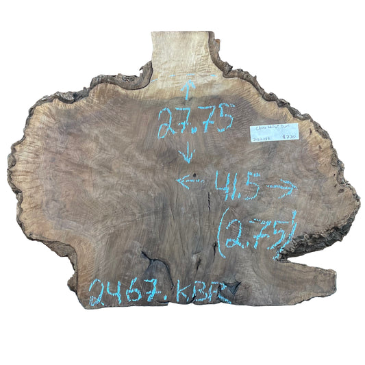 Claro Walnut Burl Cookie Live Edge Slab 2467.KBR