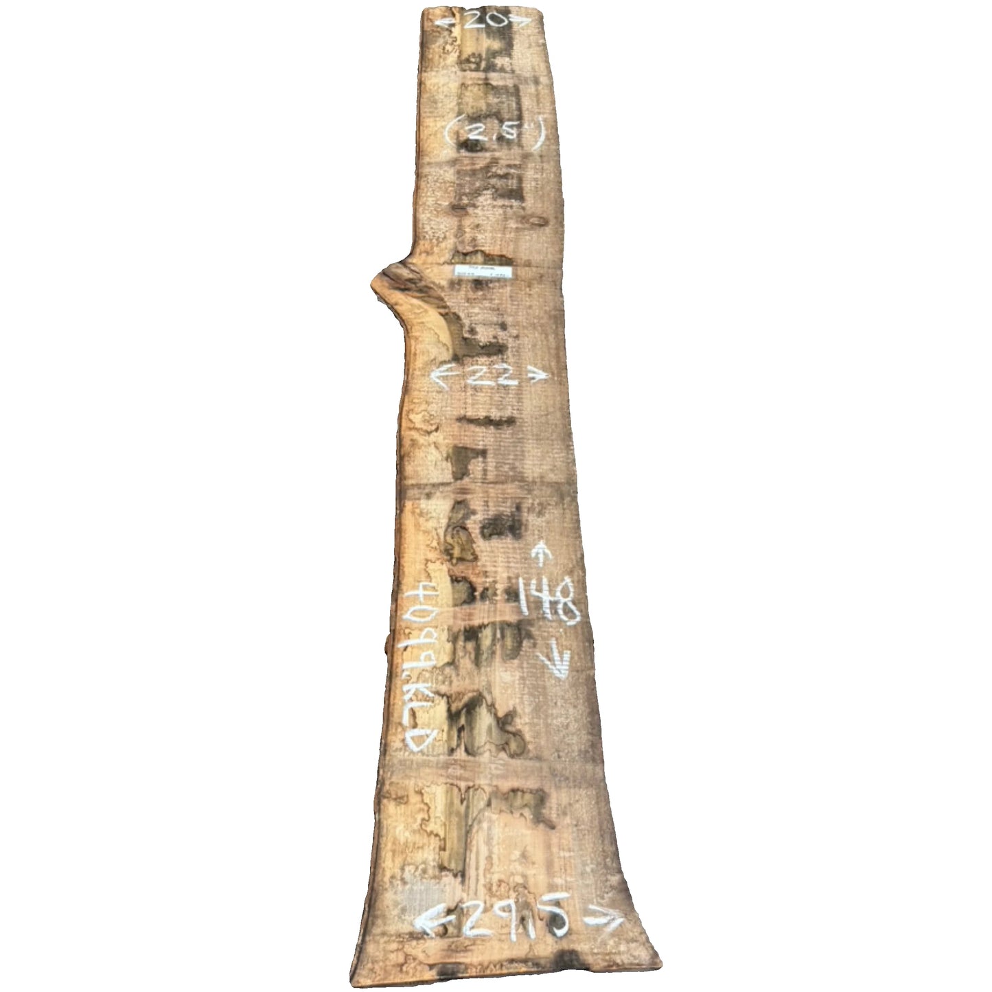 Tulip Poplar Live Edge Slab 4099.KLD