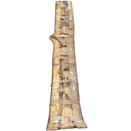 Tulip Poplar Live Edge Slab 4099.KLD