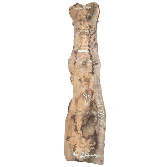 Claro Walnut Live Edge Slab 3660.KPR