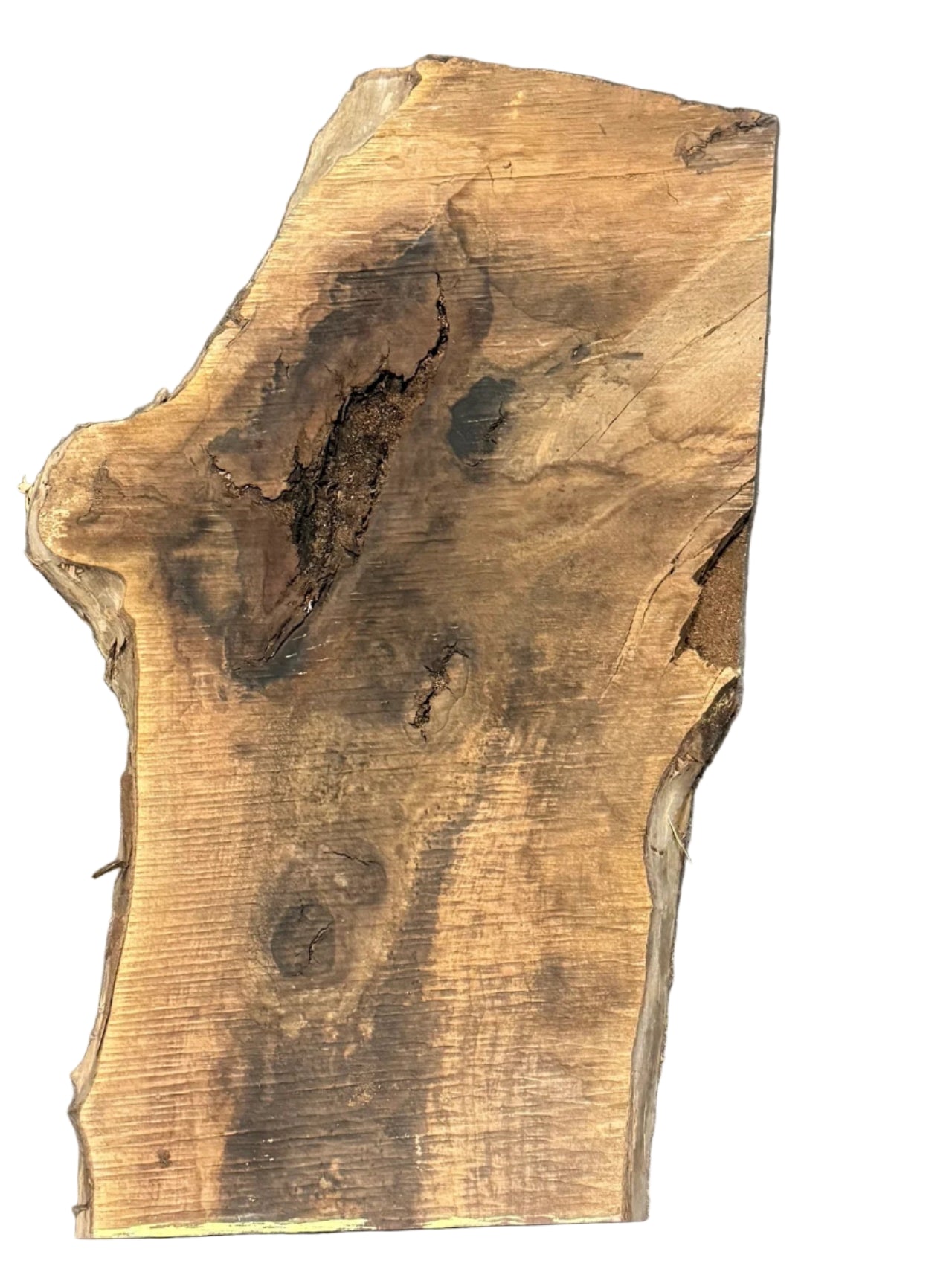Bastogne Walnut Live Edge Slab 4004.KPR