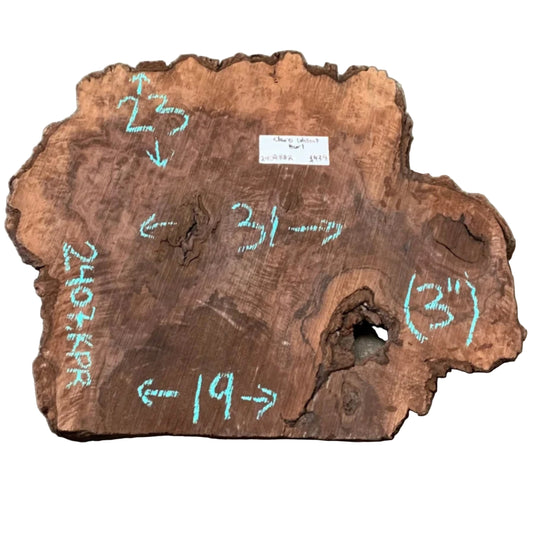 Claro Walnut Burl Cookie Live Edge Slab 2407.KBR