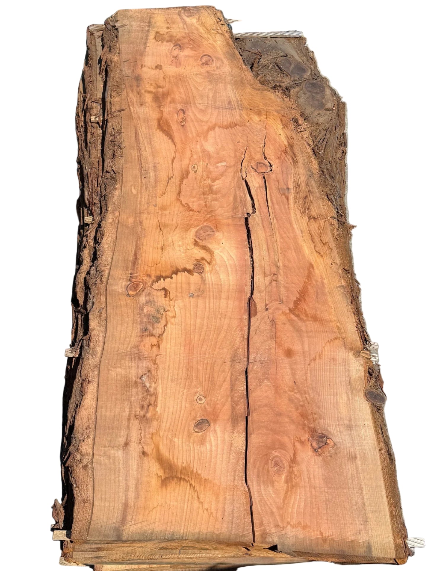 Redwood Live Edge Slab 3952.APR