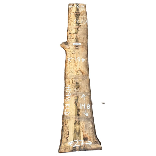 Tulip Poplar Live Edge Slab 4098.KLD