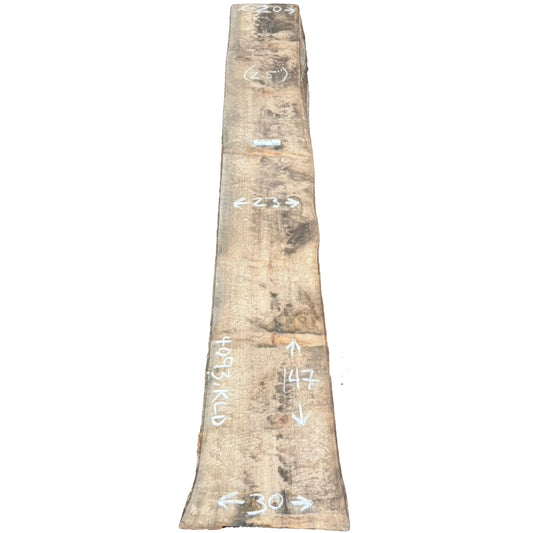Tulip Poplar Live Edge Slab 4093.KLD