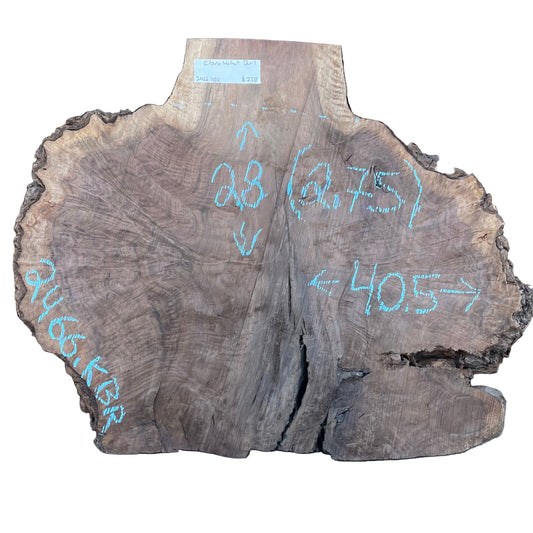 Claro Walnut Burl Cookie Live Edge Slab 2466.KBR