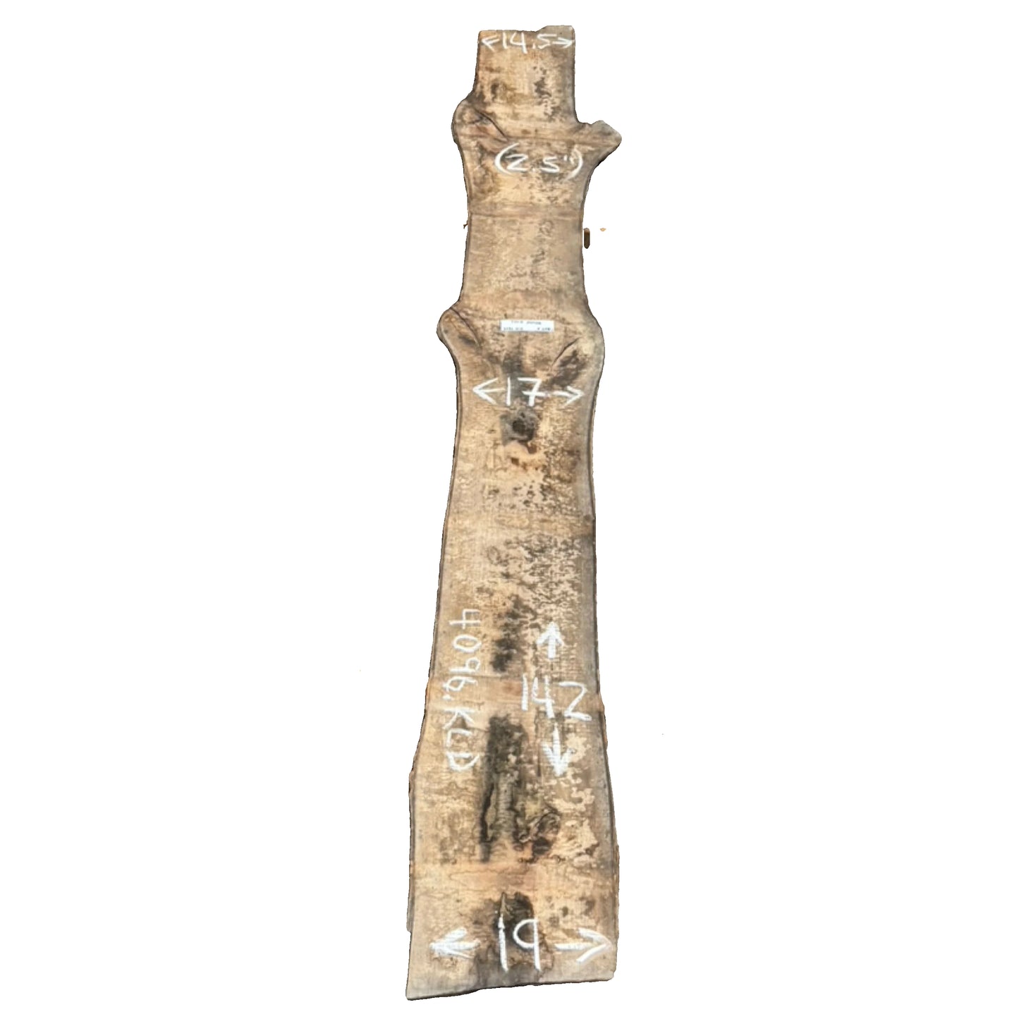 Tulip Poplar Live Edge Slab 4096.KLD