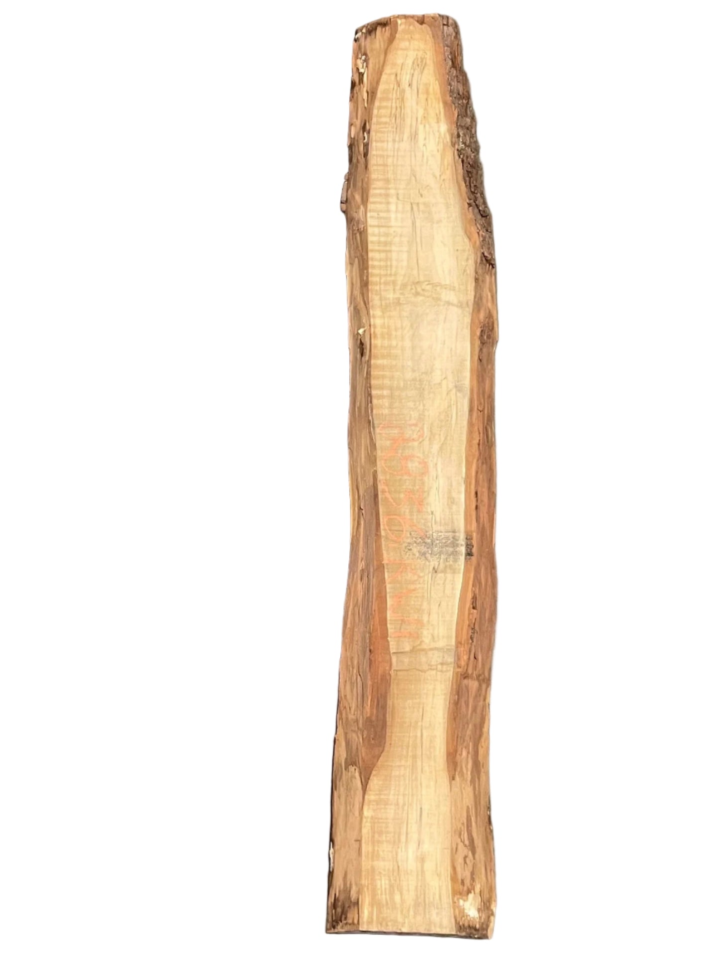 Spalted Silver Maple Live Edge Slab 2836.KWI